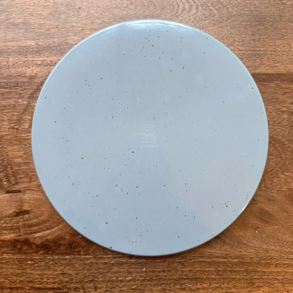 Crate&Barrel Cruz Melamine Dinner Plate - Set of 4